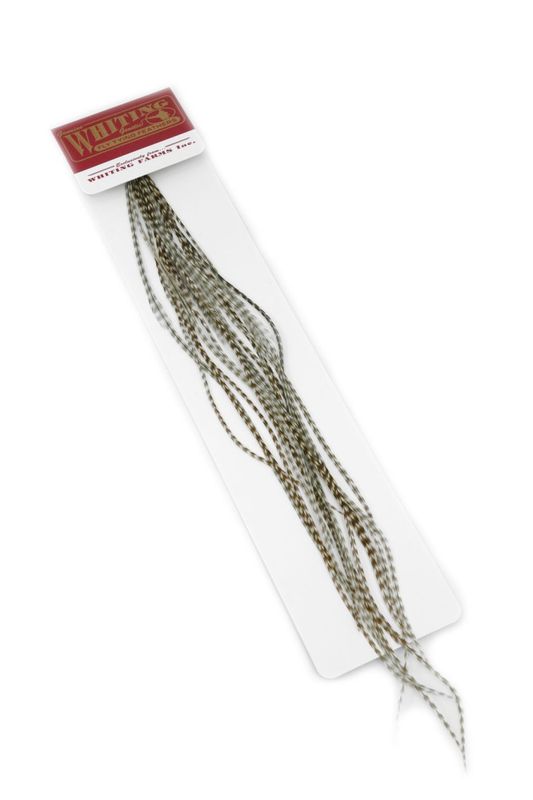 Whiting 100 Pk Size 14 Dun Grizzly