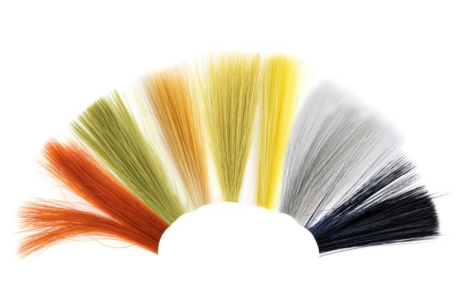 Hovedbilde Tail fibres fibettes