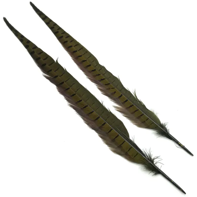 Wapsi Pheasant Tail Feathers Pair