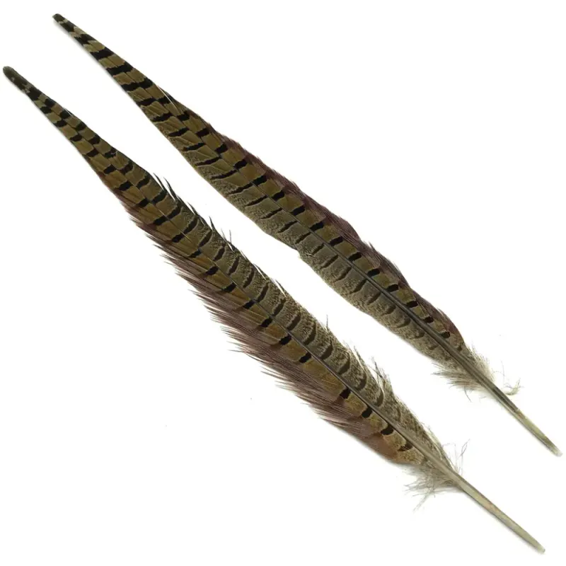 Wapsi Pheasant Tail Feathers Pair